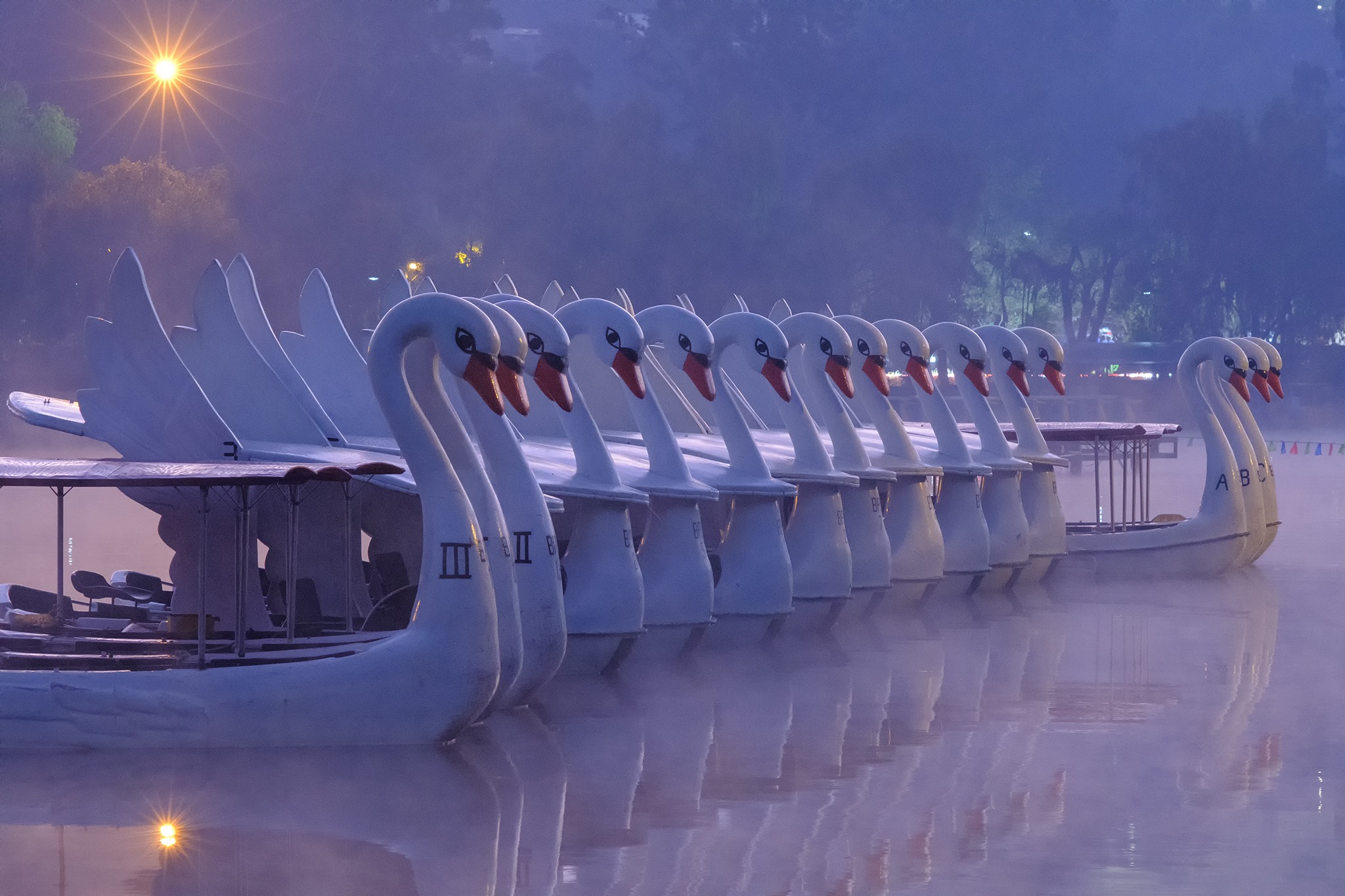 Swan Boats by Neil Ongchangco