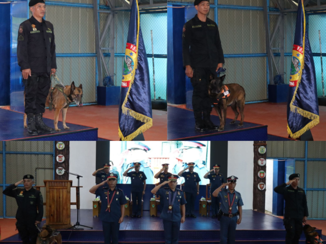 Retiring police dogs receive heartfelt honors