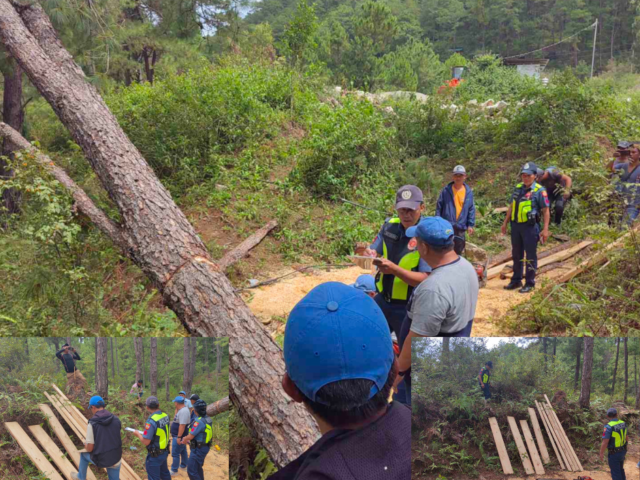 Police seize over Php5,000 worth of illegally harvested pine lumber