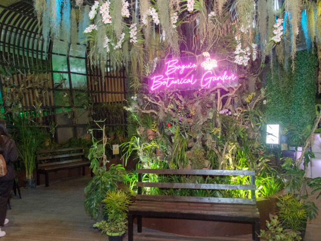Baguio Botanical Garden transformed for Christmas