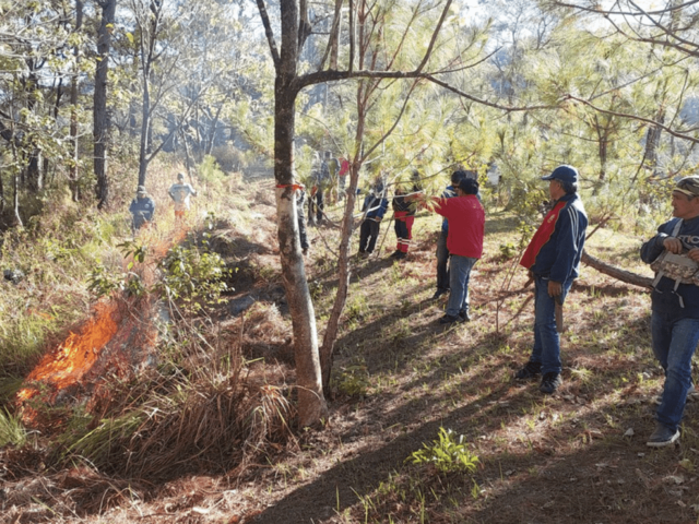 SNAP-Benguet conducts forest fire response training amid recent fires