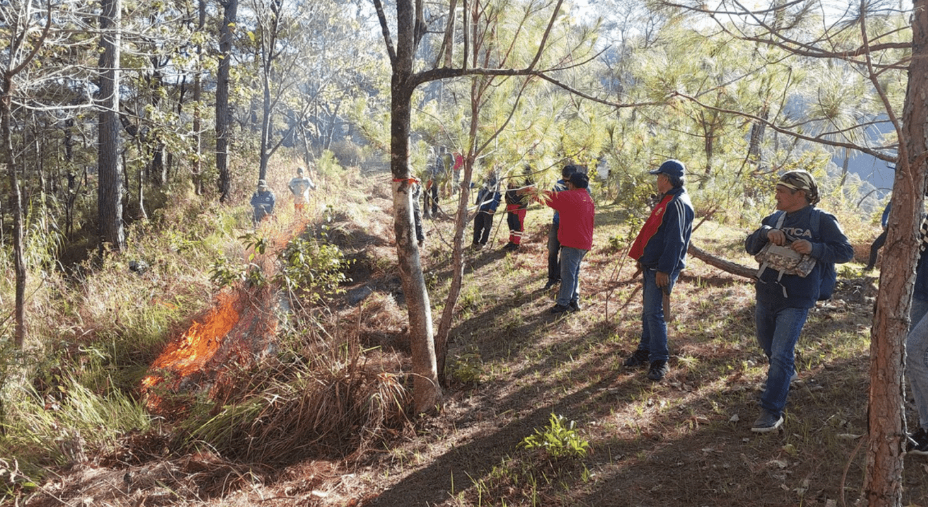 Forest Fire Training photo