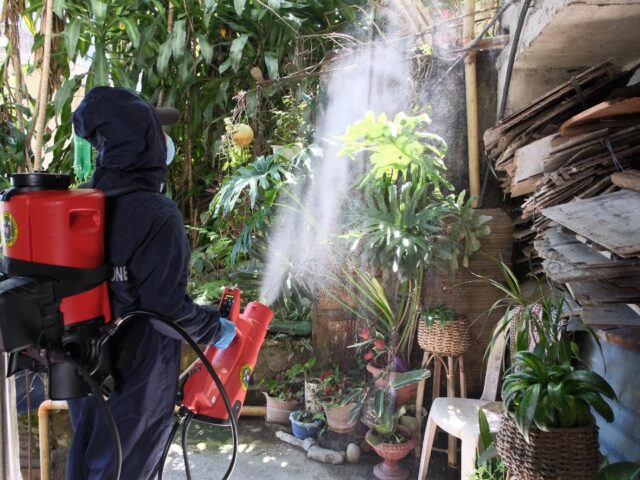 Baguio City faces unprecedented dengue surge with 12 fatalities