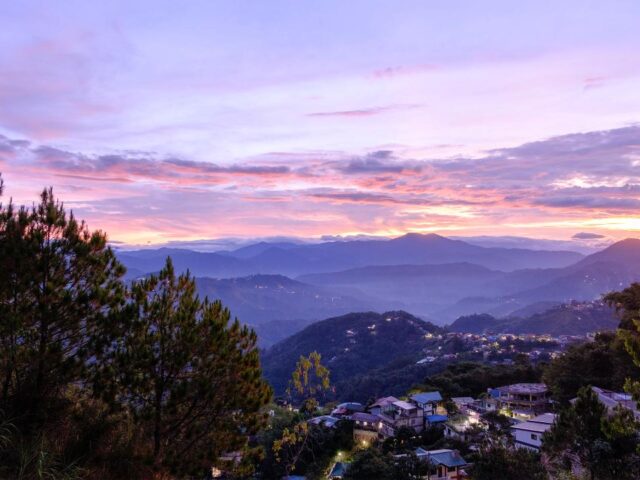 Finding home in the City of Pines