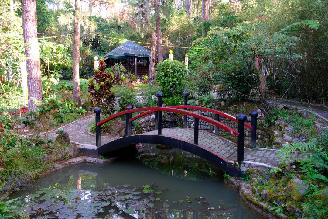 Botanical Garden
