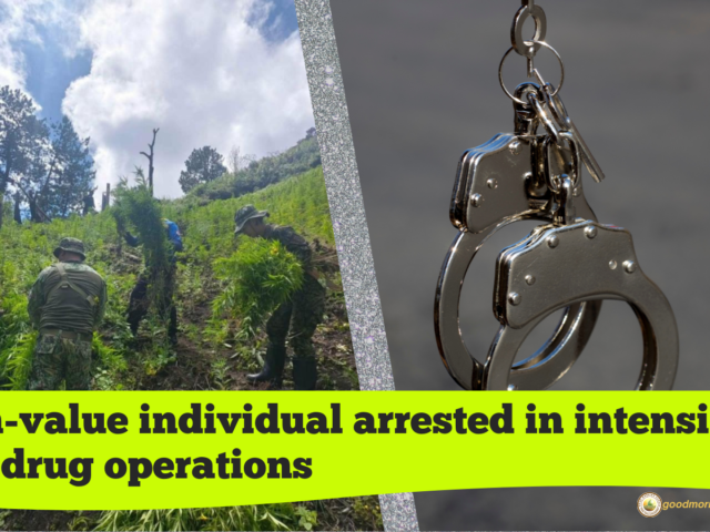 PRO CAR seizes P6.3M drugs, arrests HVI