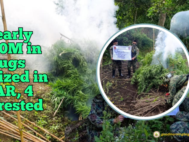 Police seize ₱9.8M in drugs across CAR