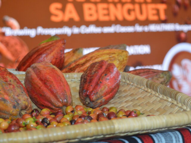Benguet opens 2026 Coffee-Cacao Quality tilt