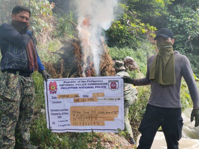 Cordillera police seize ₱32.6M marijuana, arrest two