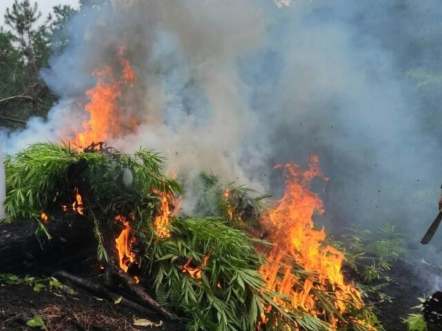 Cordillera police seize P2.3M drugs, arrest four