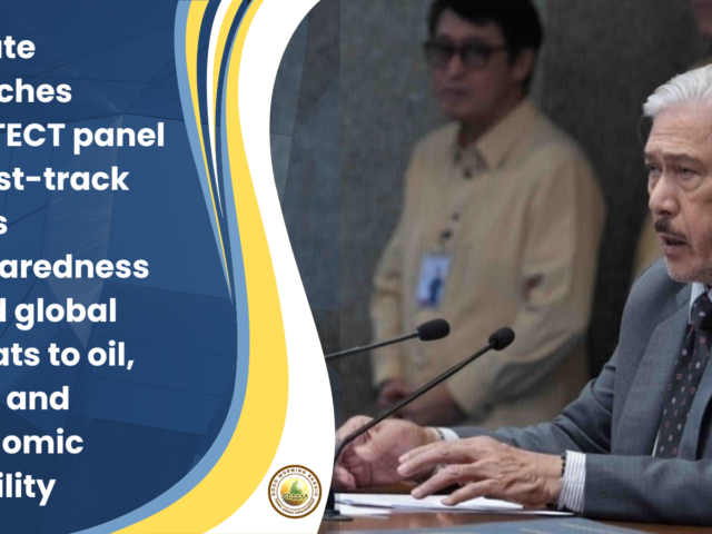 Senate forms crisis response panel amid rising global threats