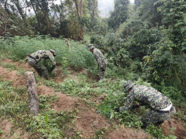 Cordillera police seize P1.94M drugs, arrest two in twin operations