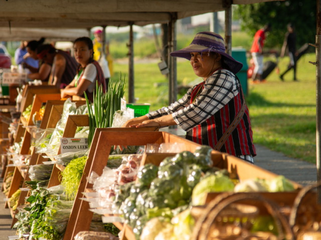 Direct-to-condo market shields Benguet farmers from rising fuel costs