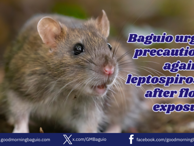 Baguio urges precautions as leptospirosis cases are recorded